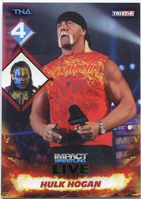 Hulk Hogan #105