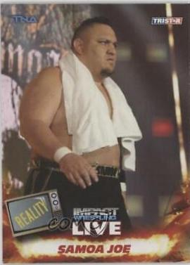 Samoa Joe #48