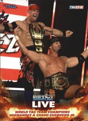 World Tag Team Champions #87