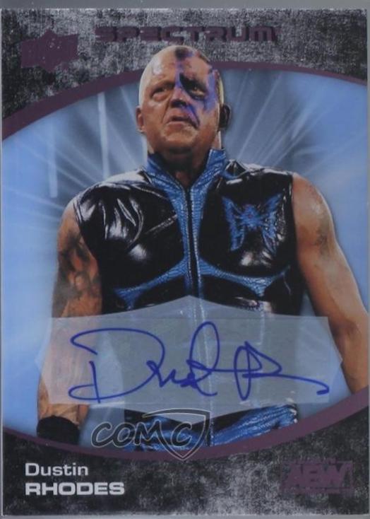 Dustin Rhodes [Beach Autograph] #81
