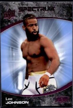 Lee Johnson [Beach] #82