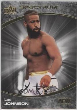 Lee Johnson [Dark] #82