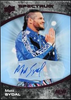 Matt Sydal [Beach Autograph] #54