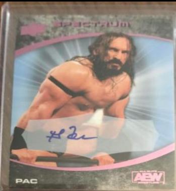 PAC [Beach Autograph] #90