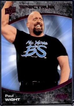 Paul Wight [Beach] #24
