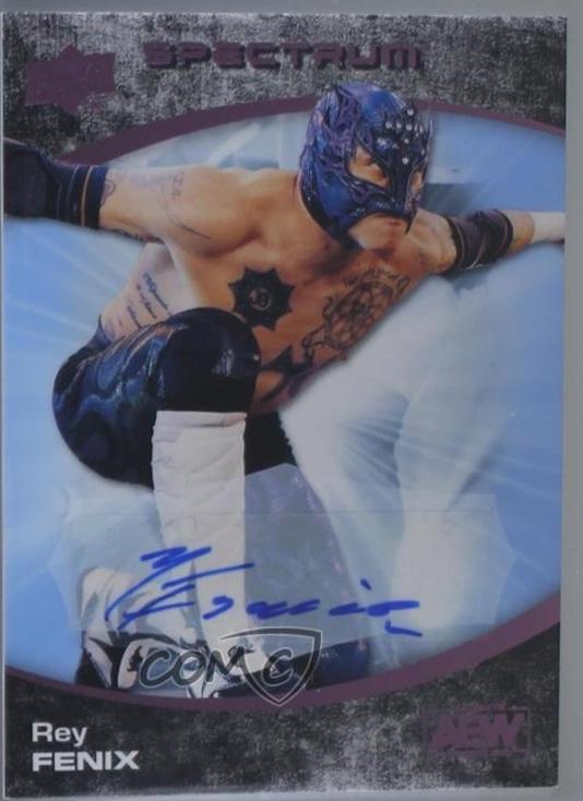 Rey Fenix [Beach Autograph] #7
