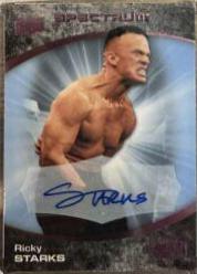 Ricky Starks [Beach Autograph] #13