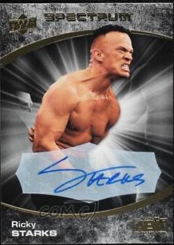 Ricky Starks [Dark Autograph] #13