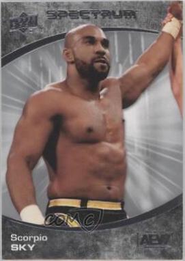 Scorpio Sky #74