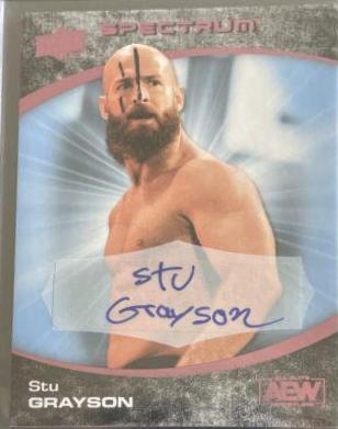 Stu Grayson [Beach Autograph] #53