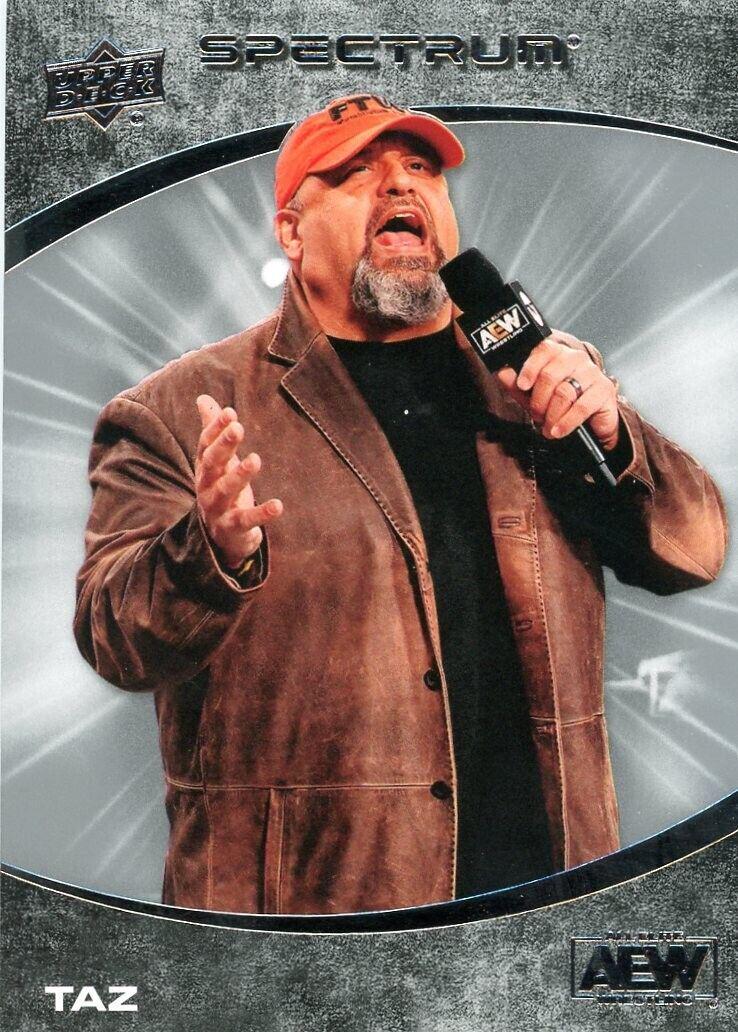 Taz #88