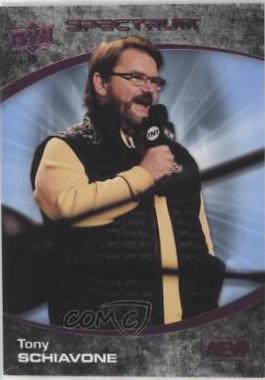 Tony Schiavone [Beach] #12