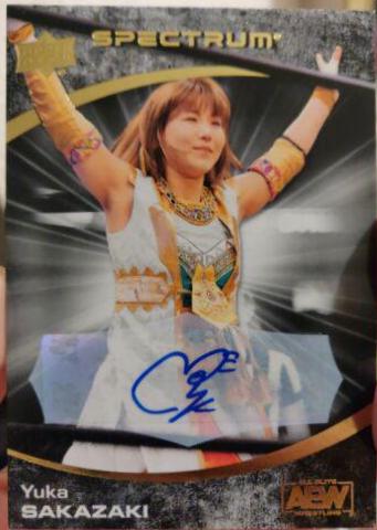Yuka Sakazaki [Dark Autograph] #30