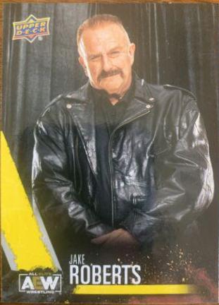 Jake Roberts [Yellow] #73