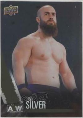 John Silver [Rainbow Foil] #18