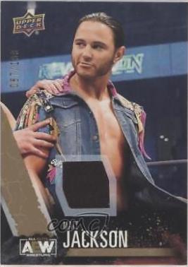 Matt Jackson [Gold Memorabilia] #29