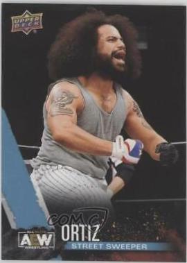 Ortiz [Finisher] #30