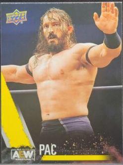 PAC [Yellow] #21