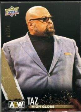 Taz [High Gloss] #78