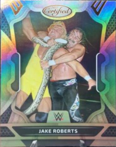 Jake Roberts [Bronze] #237