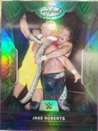 Jake Roberts [Green] #237