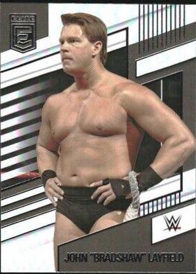 John 'Bradshaw' Layfield #247
