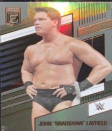 John 'Bradshaw' Layfield [Bronze] #247