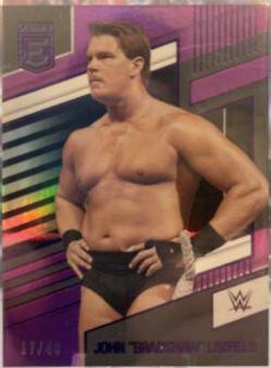 John 'Bradshaw' Layfield [Purple] #247