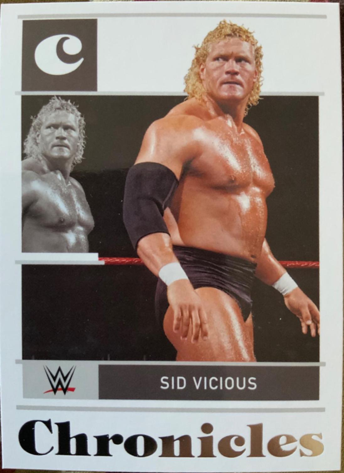 Sid Vicious #37