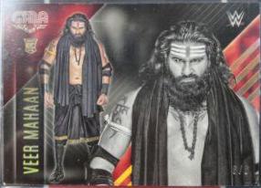 Veer Mahaan #500