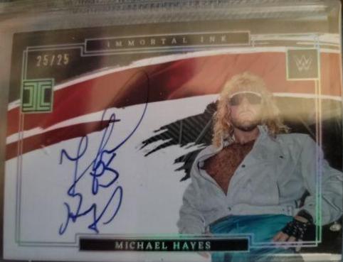 Michael Hayes [Holo Silver] #IM-MHY