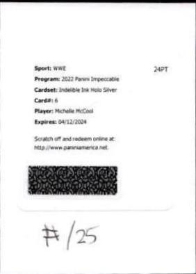 Michelle McCool [Holo Silver] #IN-MMC