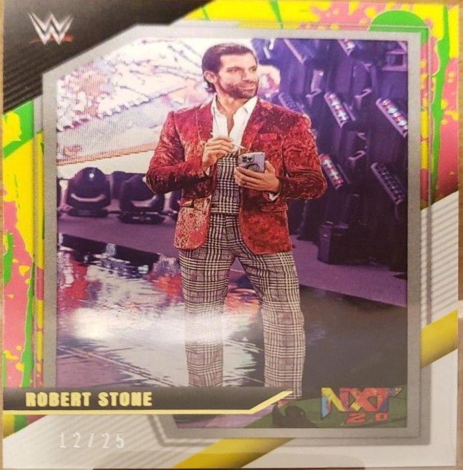 Robert Stone [2. 0] #89