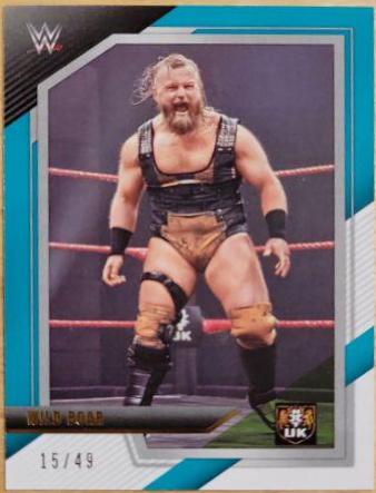 Wild Boar [Teal] #52