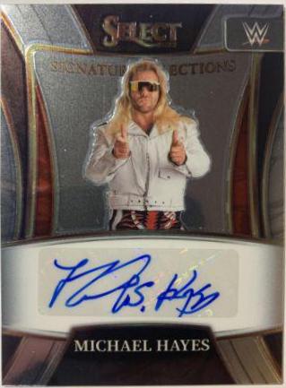 Michael Hayes [Flash Prizm] #SN-MHY