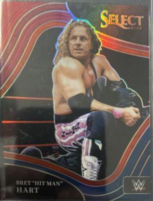 Bret 'Hit Man' Hart #224