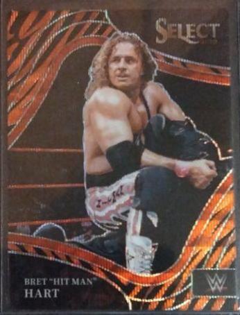 Bret 'Hit Man' Hart [Tiger Prizm] #224