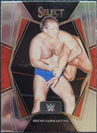 Bruno Sammartino #149