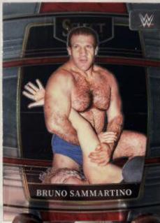 Bruno Sammartino #95