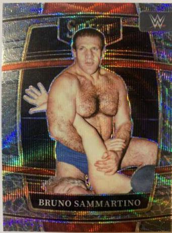 Bruno Sammartino [Elephant Prizm] #95