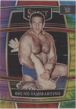 Bruno Sammartino [Tie Dye Prizm] #95