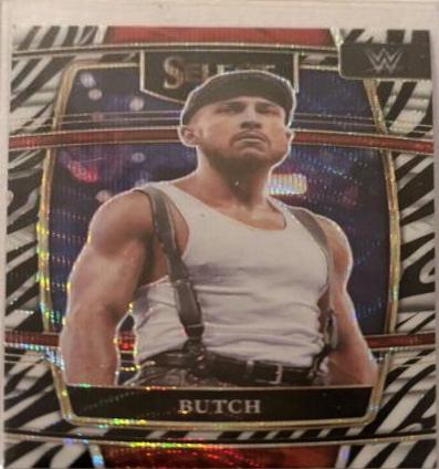 Butch [Zebra Prizm] #84
