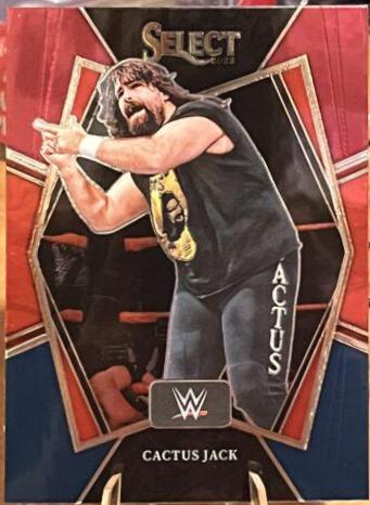 Cactus Jack [Red & Blue Prizm] #169