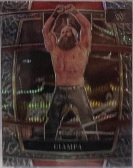 Ciampa [Elephant Prizm] #66