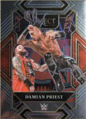 Damian Priest #308