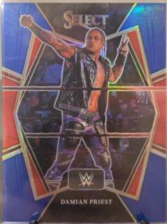 Damian Priest [Blue Prizm] #131