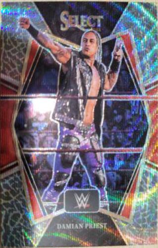 Damian Priest [Elephant Prizm] #131