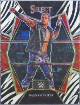 Damian Priest [Zebra Prizm] #131