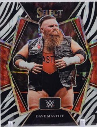 Dave Mastiff [Zebra Prizm] #151