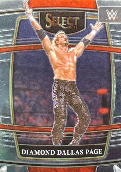 Diamond Dallas Page #35